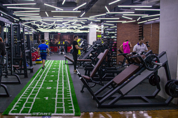 What Can You Do To Save Your i traveled the world last year bodybulding From Destruction By Social Media?